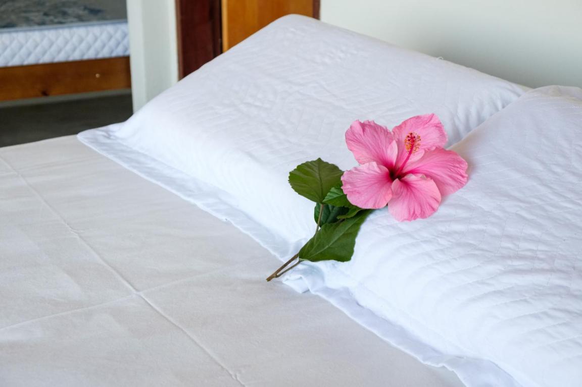 Haleiwa Chales E Suites - A Guest House Do Prumirim Ubatuba Eksteriør billede